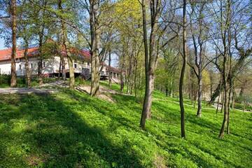 Фотографии Гостевой дом Dwór Kolesin г. Нове Крамско (Польша) №5 Фото Гостевой дом Dwór Kolesin г. Нове Крамско 5